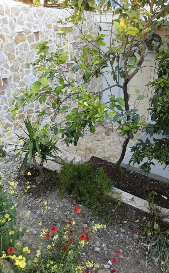 Akrotiri Vasiliki  Exterior photo